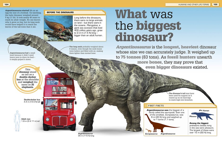 It Can't Be True! Incredible Visual Comparisons / Author not specified 9781409334514-2