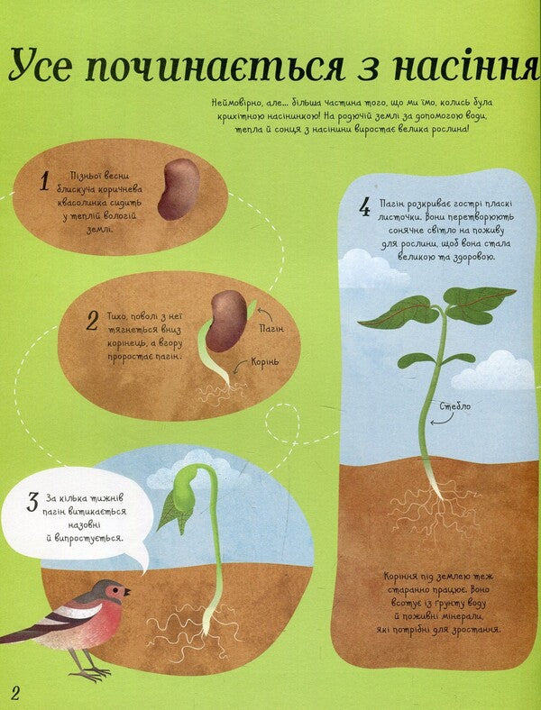 It all starts with a seed...how food grows / Усе починається з насіння…як росте їжа Эмили Боун 978-617-7579-21-1-3
