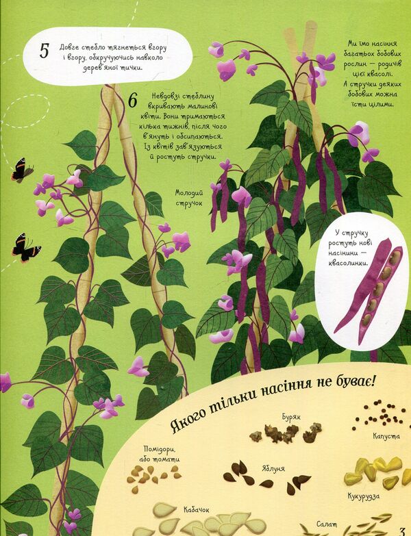 It all starts with a seed...how food grows / Усе починається з насіння…як росте їжа Эмили Боун 978-617-7579-21-1-4