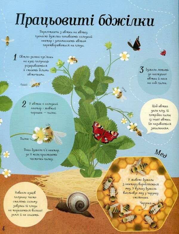 It all starts with a seed...how food grows / Усе починається з насіння…як росте їжа Эмили Боун 978-617-7579-21-1-5