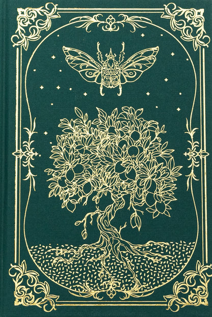 It is a merciless blessing / Це безжальне благословення Эмили Сид 978-617-8373-76-4-3