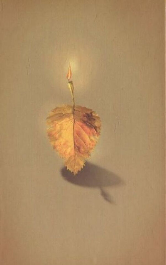 It shines / Посвітається Павел Гирник 978-966-2171-55-6-2