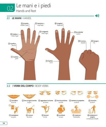 Italian English Illustrated Dictionary / Author not specified 9780241601501-4