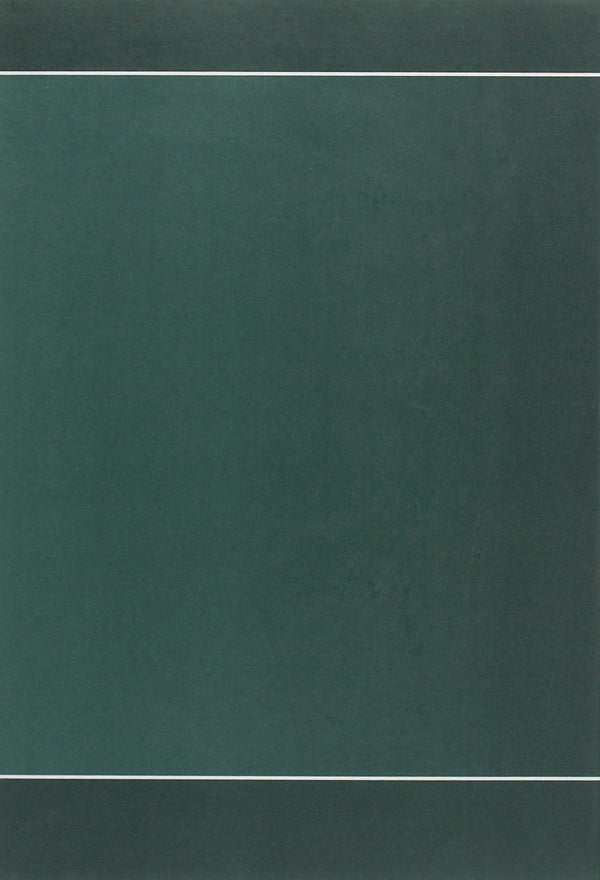 Ivan Franko. A look at literature / Иван Франко. Взгляд на литературу Леонид Фризман 978-966-489-414-9-2