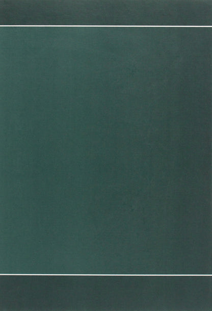 Ivan Franko. A look at literature / Иван Франко. Взгляд на литературу Леонид Фризман 978-966-489-414-9-2