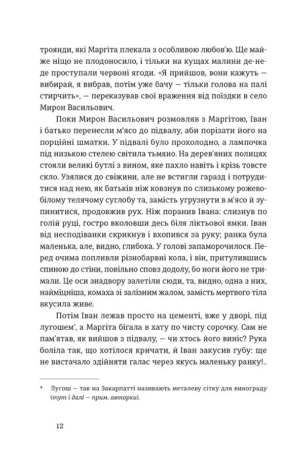 Ivan and Phoebe / Іван і Феба Оксана Луцишина 978-966-448-614-6-4