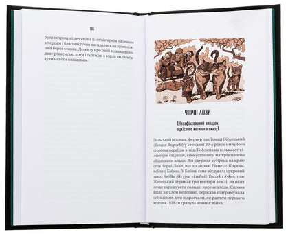 Izmaragd Of Princess Nesvitska - змарагд княгин Несвцько Alexander Irvanets - Олександр рванець 9786171701991-5