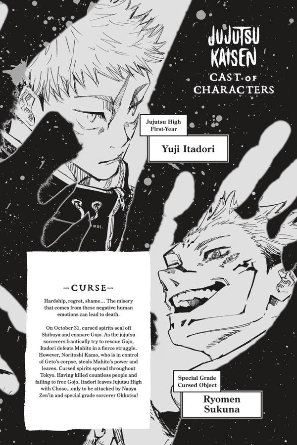 Jujutsu Kaisen. Volume 17 Gege Akutami / Геге Акутами 9781974732333-6