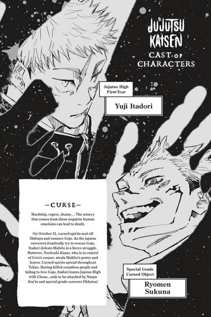 Jujutsu Kaisen. Volume 17 Gege Akutami / Геге Акутами 9781974732333-6