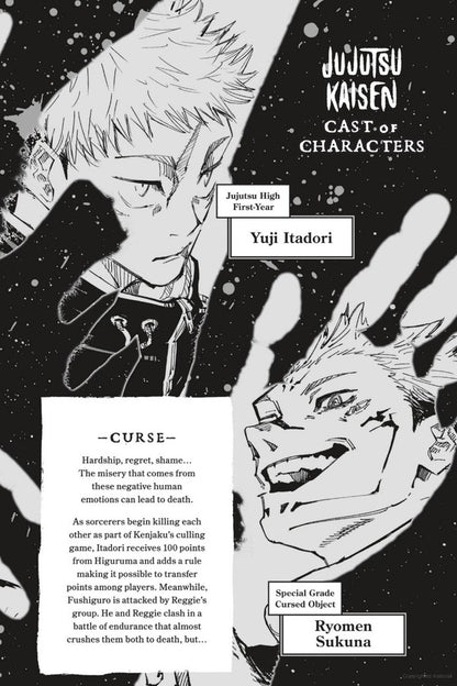 Jujutsu Kaisen. Volume 20 Gege Akutami / Геге Акутами 9781974738748-3