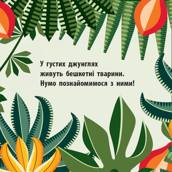 Jungle team / Команда джунглів Мадлен Роджерс 978-966-749-011-9-3