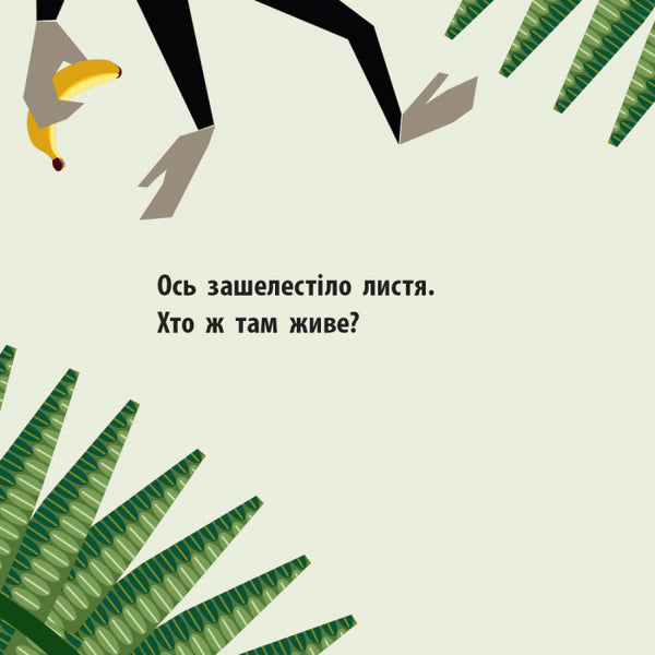 Jungle team / Команда джунглів Мадлен Роджерс 978-966-749-011-9-5
