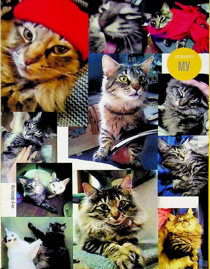 Junji Ito's Cat Diary: Yon and Mu / Котячий щоденник Джюнджі Іто: Йон та Му Дзюндзи Ито 978-617-8485-24-5-4