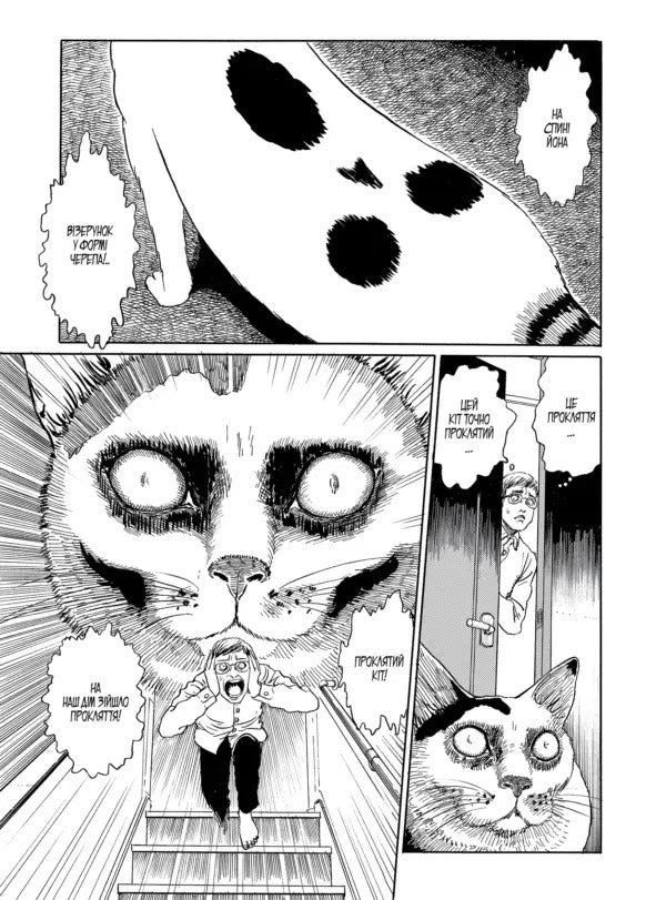 Junji Itos Cat Diary: Yon And Mu - Котячий щоденник Джюндж то: Йон та Му Junji Ito - Джундж то 9786178485245-4