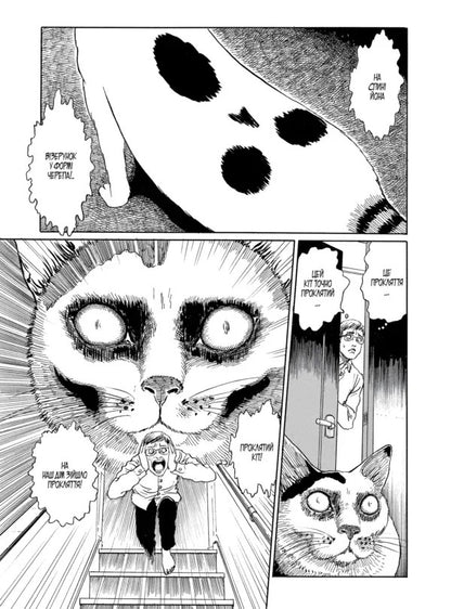 Junji Itos Cat Diary: Yon And Mu - Котячий щоденник Джюндж то: Йон та Му Junji Ito - Джундж то 9786178485245-4