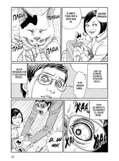 Junji Itos Cat Diary: Yon And Mu - Котячий щоденник Джюндж то: Йон та Му Junji Ito - Джундж то 9786178485245-5