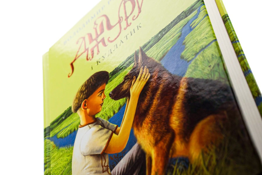 Jury Book 4. Jura and Shaggy / Джури. Книга 4. Джури і кудлатик Владимир Рутковский 978-617-585-089-3-4