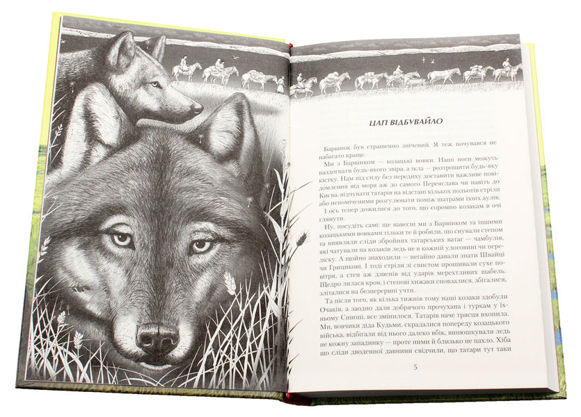 Jury Book 4. Jura and Shaggy / Джури. Книга 4. Джури і кудлатик Владимир Рутковский 978-617-585-089-3-5