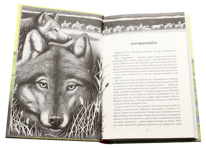 Jury Book 4. Jura and Shaggy / Джури. Книга 4. Джури і кудлатик Владимир Рутковский 978-617-585-089-3-5