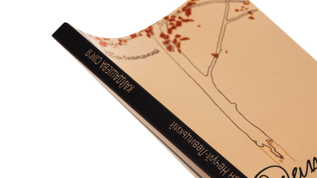 Kaidash family / Кайдашева сім’я Иван Нечуй-Левицкий 978-617-520-774-1-4