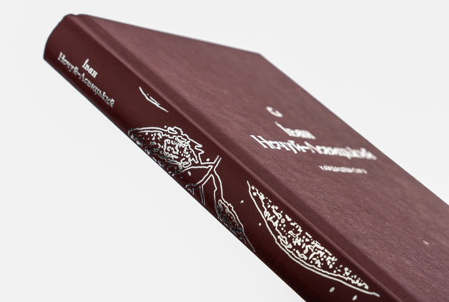 Kaidash family / Кайдашева сім’я Иван Нечуй-Левицкий 978-617-8257-20-0-4