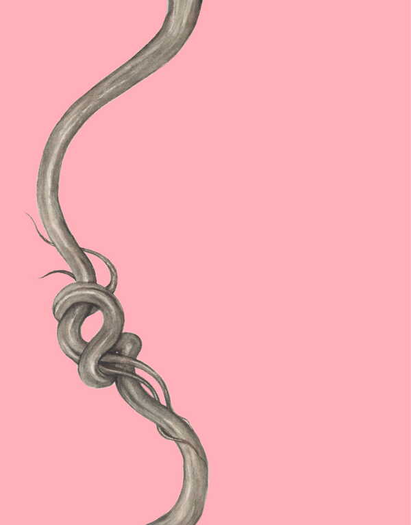 Kateryna Taras Shevchenko / Тарас Шевченко 9786178535032-3