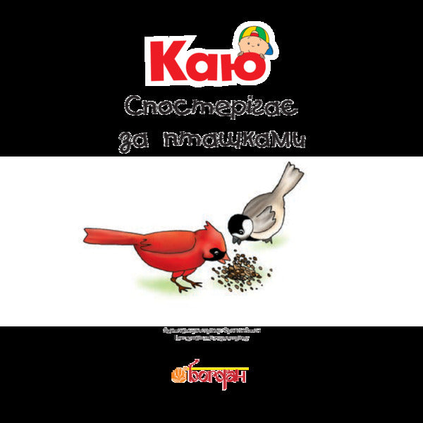 Kayu watches the birds / Каю спостерігає за пташками Аллен Франсин 978-966-10-5342-6-3