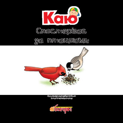 Kayu watches the birds / Каю спостерігає за пташками Аллен Франсин 978-966-10-5342-6-3