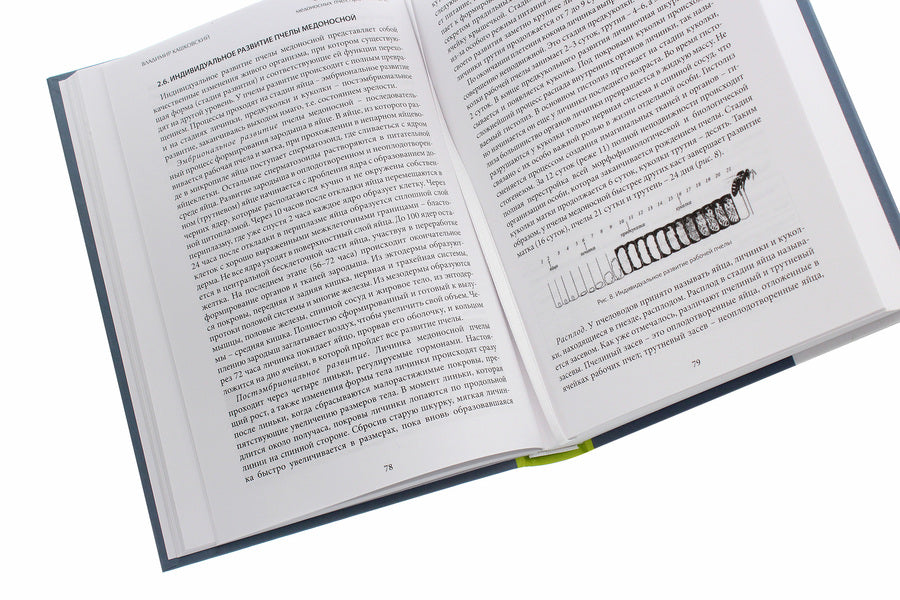 Keeping and breeding honey bees Apis Mellifera L. / Содержание и разведение медоносных пчёл Apis Mellifera L. Владимир Кашковский 978-617-7517-45-9-5