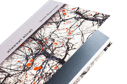 Kinech Songs / Кінечні пісні Irina Shuvalova / Ірина Шувалова 9789664482964-4