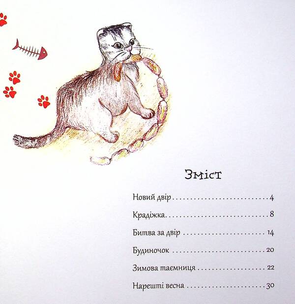 Kotoyosiya, or the adventures of Yoshi the cat / Котойосія, або пригоди котика Йосі Ирина Горденко 978-617-07-0831-1-3