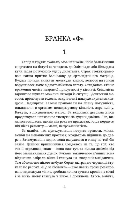 Labyrinths / Лабіринти Роман Черковский 978-617-8326-25-8-2