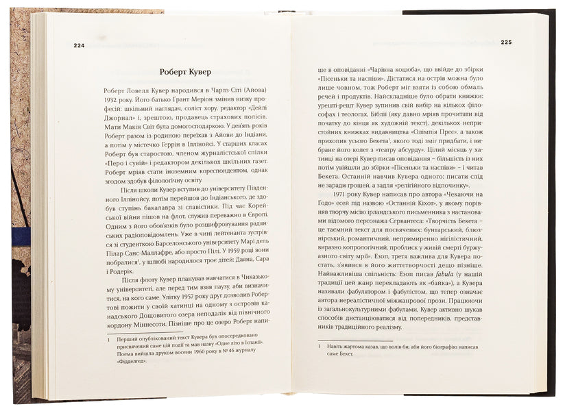 Labyrinths of American postmodernism. The second volume / Лабіринти американського постмодернізму. Другий том Максим Нестелеев 9786175695661-6