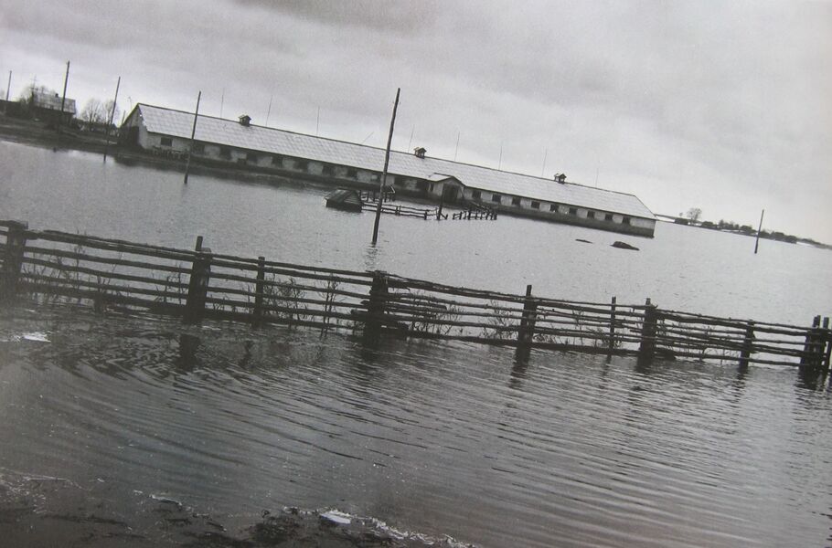 Land of the Carpathians. Happiness among floods / Carpathian Land. The Land of Floods and Happiness / Землі Карпат. Щастя серед паводків / Carpathian Land. The Land of Floods and Happiness Александр Ильенко, Дмитрий Медведенко 978-966-504-959-3-4