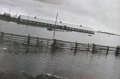 Land of the Carpathians. Happiness among floods / Carpathian Land. The Land of Floods and Happiness / Землі Карпат. Щастя серед паводків / Carpathian Land. The Land of Floods and Happiness Александр Ильенко, Дмитрий Медведенко 978-966-504-959-3-4