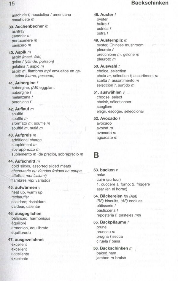 Langenscheidt Praxiswörterbuch Internationale Küche / Langenscheidt Praxiswörterbuch Internationale Küche  978-3-86117-271-0-4