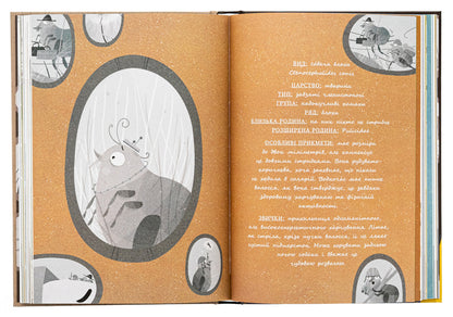 Large insects. The story of those who grew wings / Великі комахи. Історія тих, хто відростив крила Барбара Супель 978-617-09-9127-0-6
