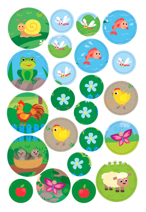 Large stickers for babies. Smart frog / Великі наліпки для малят. Спритна жабка Ирина Цыбань 978-966-284-881-6-5