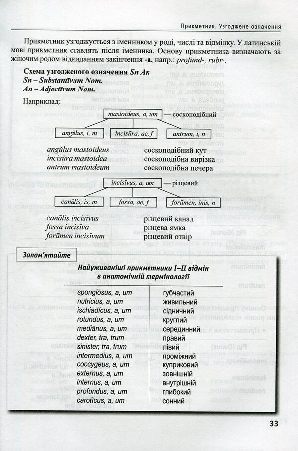 Latin language and basics of medical terminology / Латинська мова та основи медичної термінології Лариса Смольская 978-617-505-756--8-4