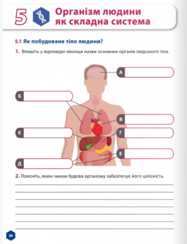 Let's get to know nature 5th grade. Workbook. Part 2 / Пізнаємо природу 5 клас. Робочий зошит. Частина 2 Джон Эндрю Биос 978-617-8002-98-5-5