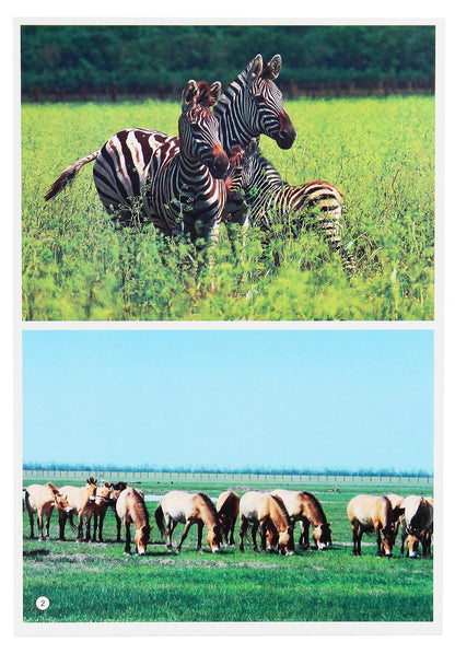 Let's tell the children. About notable places of Ukraine / Розповімо дітям. Про визначні місця України  4823076107536-4