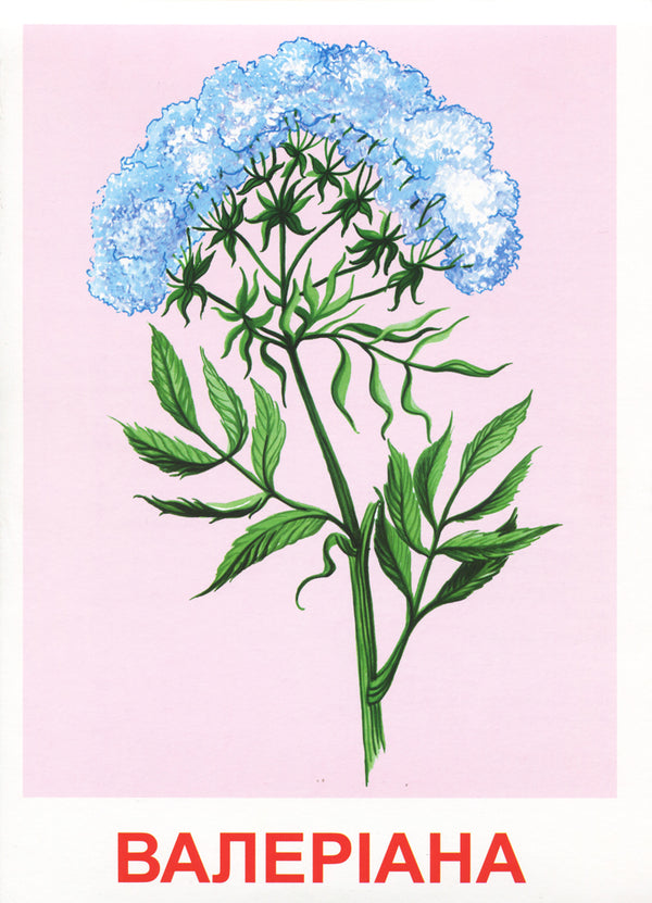 Let's tell the children about medicinal plants. Demonstration material / Розповімо дітям про лікарські рослини. Демонстраційний матеріал  4823076143664-6