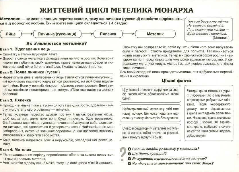 Let's tell the children about the life cycle of living organisms / Розповімо дітям про життєвий цикл живих організмів  -4