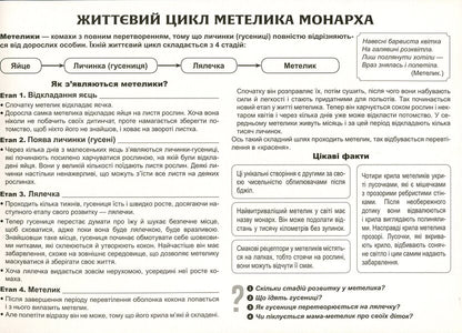 Let's tell the children about the life cycle of living organisms / Розповімо дітям про життєвий цикл живих організмів  -4