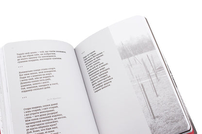 Letters to my son / Листи до сина Василий Стус 9786170957719-6