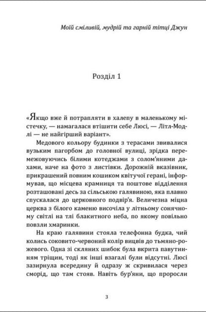 Library In A Phone Booth - Бблотека в телефоннй будц Rachel Lucas - Рейчел Лукас 9786178948900-2