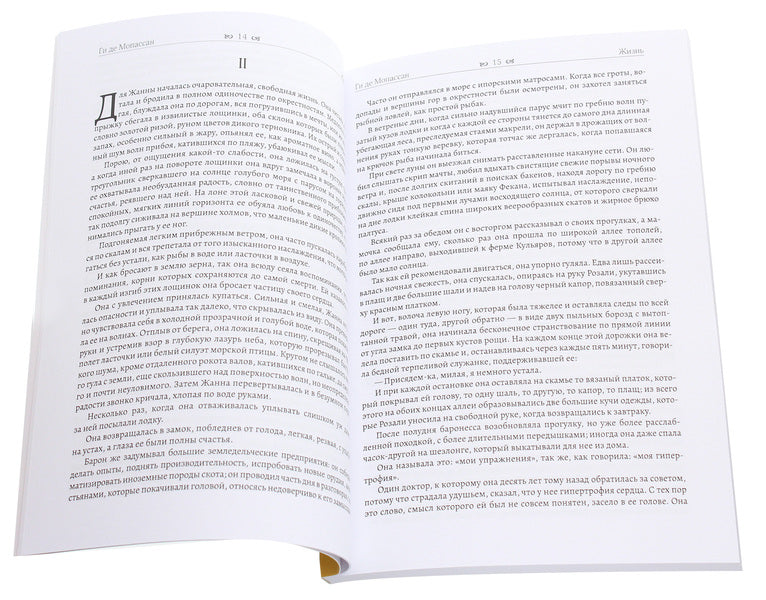 Life / Жизнь Ги де Мопассан 978-617-7938-76-6-3