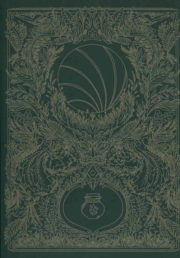 Lightfall: The Girl and the Galdurian / Світлопад: Дівчинка і Ґалдурієць Тим Проберт 9786170999542-3