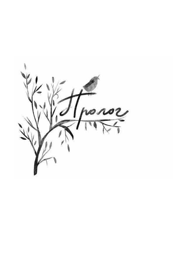 Like two drops of water / Як дві краплі води Йоанна Ягелло 9789662647686-2