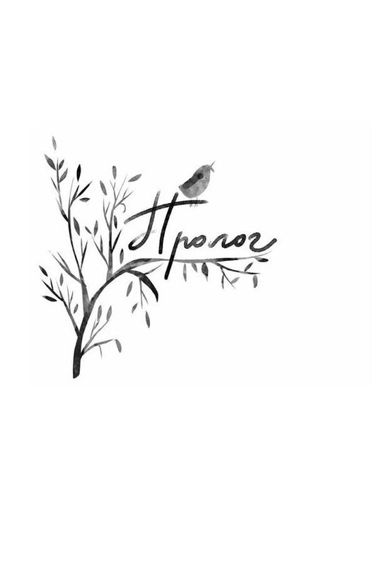 Like two drops of water / Як дві краплі води Йоанна Ягелло 9789662647686-2